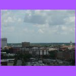View of Savannah 2.jpg